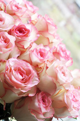 beautiful pink roses bouquet