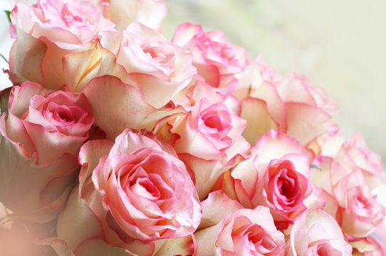 beautiful pink roses bouquet