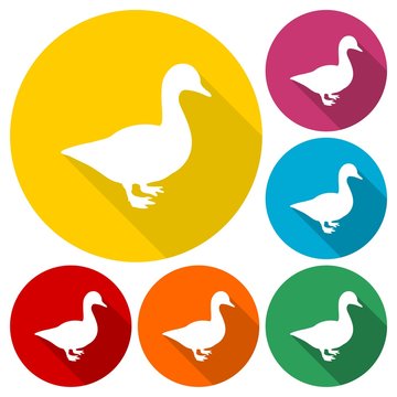 Duck silhouette icons set with long shadow