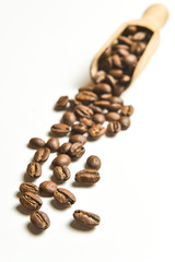 Brown coffee beans isolated on white