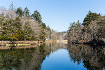 Fototapeta na wymiar Lake in karuizawa