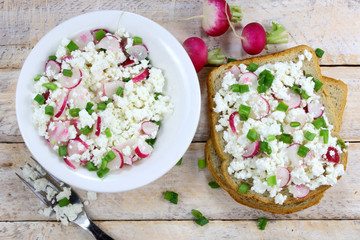 Bread with cottage cheese , radish and chives