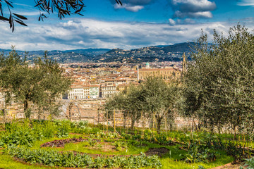 Fototapeta na wymiar Breathtaking views of the palaces and churches of Florence