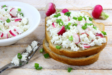 Bread with cottage cheese , radish and chives