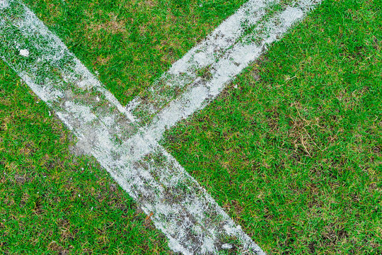 White Lines of a Soccer Field for sport background