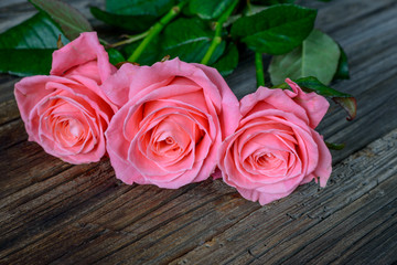 Close up on roses over wooden table