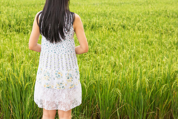 young woman in rice field