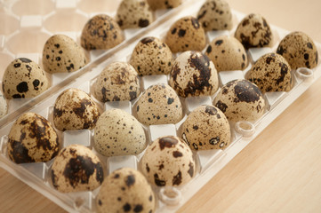 fresh quail eggs