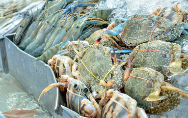 Selective focus / Fresh crabs and prawns on ice in seafood market, with place for your text 