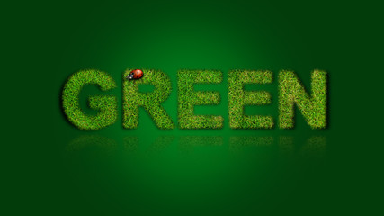 Green Grasschrift mit Käfer