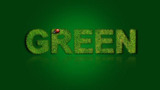 Green Grasschrift mit K&auml;fer