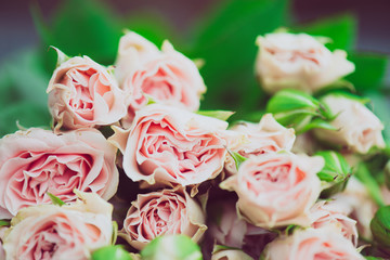 Wedding bouquet of flowers, close up floral background, mini pink roses