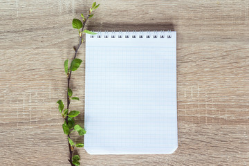 Background with fresh spring sprigs and empty notebook for text