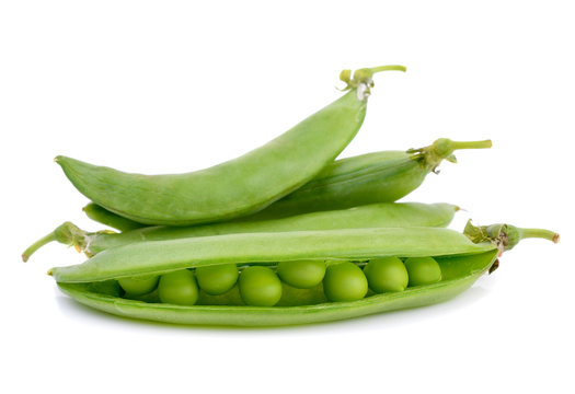 peas  on  the  white  ground