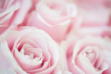 Naklejka premium Wedding bouquet of pink rose flowers, close up floral background