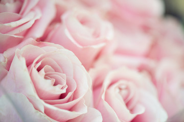 Wedding bouquet of pink rose flowers, close up floral background