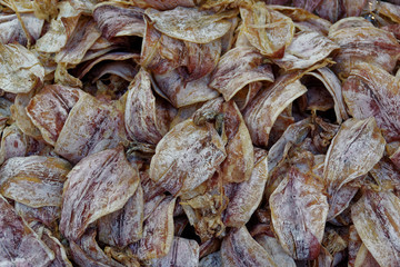 dried squid