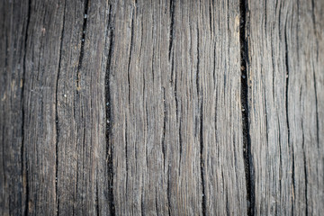 Old wooden  texture
