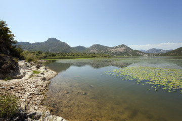 the lake ,  Montenegro  