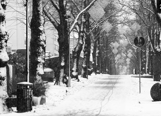 Winter landscape in Finland. Alley for a pedestrian walk, covered with snow. 