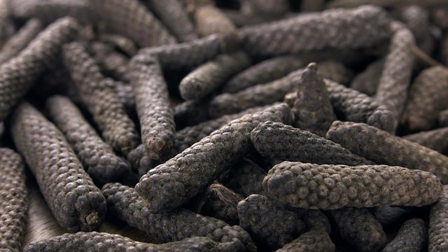 Portion of long Pepper as seamless loopable 4K UHD footage