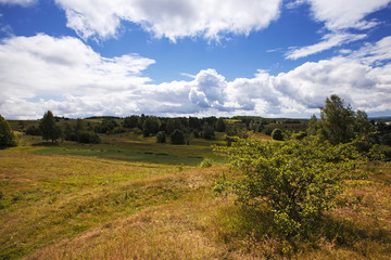 Fototapeta premium agriculture field , Cloudy.