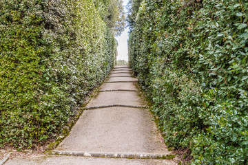 Obraz premium Italian-style gardens