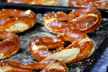 Ofenfrische handgemachte bayerische Brezen auf einem Backblech - Oven fresh handmade Bavarian...