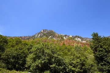mountain district ,  Montenegro