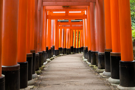 Fushimi Inari Taisha Shrine In Kyoto