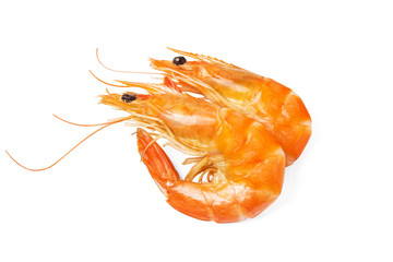 White background of the shrimp