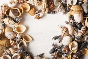 sea shells and frames
