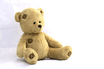 Teddy bear on a white background .