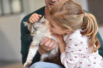 Daddy with little girl petting cat at home