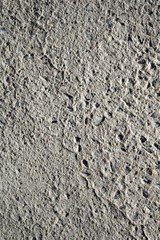 Cement Floor