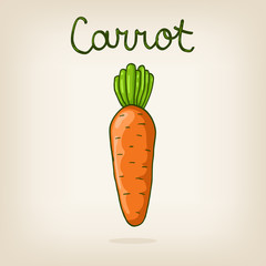 Vector cute hand drawn shiny carrot