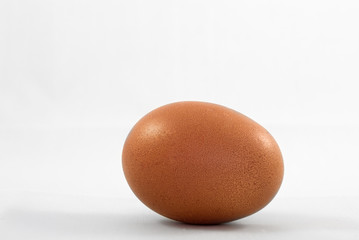 A Free Range Egg