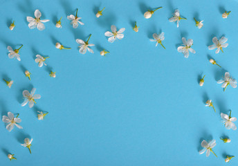 spring cherry flowers on blue background