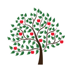 Apple Tree Filled With Ripe Fruit