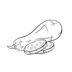 Hand drawn squash sketches on white background