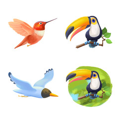 Set of colorful exotic birds in cartoon style. Toucan, Colibri, Gull. Isolated 