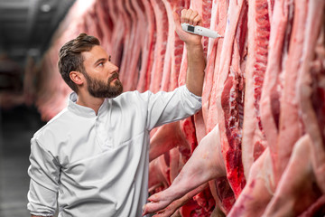 Butcher measuring pork temperature in the refrigerator at the meat manufacturing