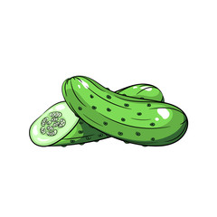 Vector cucumber illustration on white background