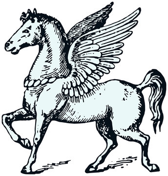 Engraving illustration of Pegasus