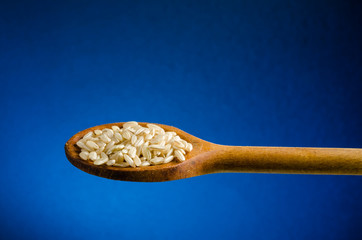 rice in a spoon, close up, color background.