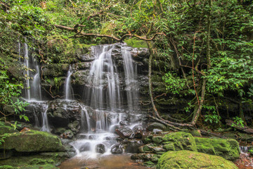 Nice small waterfall in forest