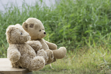 Teddy bear sitting on the wood of the field in the evening