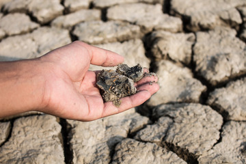 The hands and cubes the soil is drought.