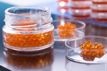 caviar in quality test laboratory