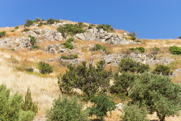 Fototapeta na wymiar Grass covered slope with huge rock boulders. Choirokoitia (Khirokitia) Neolithic Settlement, Cyprus.